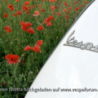 Vespa S 50 im Mohnfeld