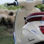 Vespa Primavera am Deich