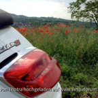 Vespa im Mohnfeld