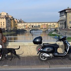 Florenz Florence Firenze - Ponte Vecchio - Toscana - Vespa GTS 300